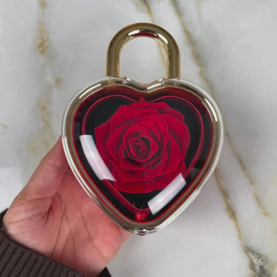 🔐 Candado Eterno con Collar Personalizado